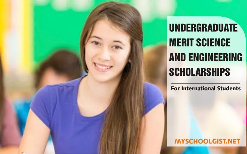 Undergraduate Merit Science and Engineering Scholarships